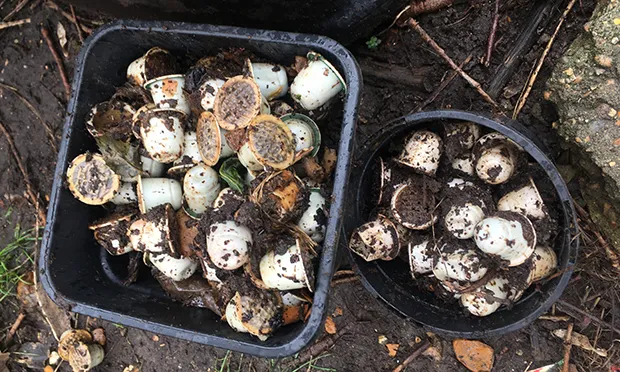 The Citizen Gardener: The Uncompostables