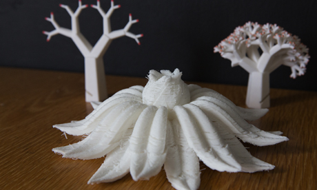 Pretty, yes, but are they useful?: objects created using a 3D printer. Photograph: Eleonore de Bonneval