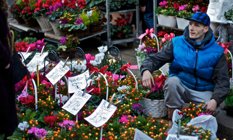 A man selling plants on Columbia Road. Photograph: Jerome Yewdalll (CC-SA)