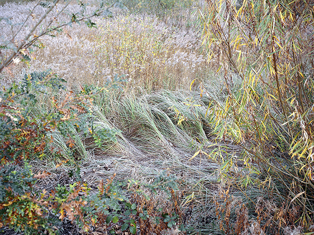 Along the Hackney Canal