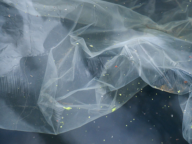 Plastic in the water. From Along the Hackney Canal 