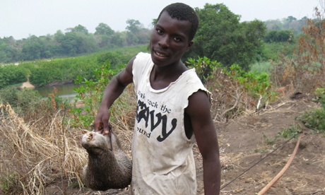 Hunter with a cane rat