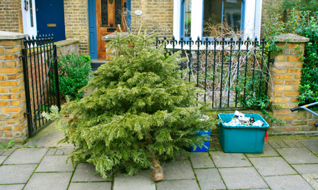 Christmas tree for recycling