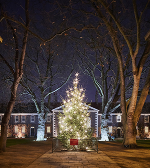 The Geffrye Museum Christmas tree. Photograph: Hannah Taylor