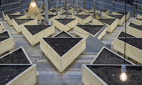 Cruzvillegas_tate_460_