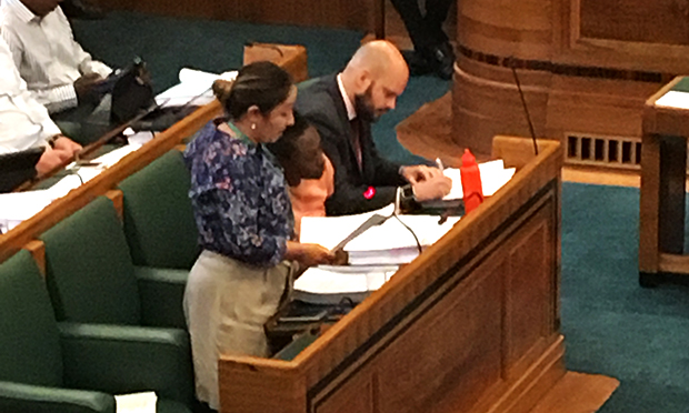 Deputy Mayor Feryal Demirci