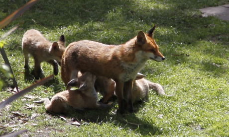 Photo: © Kuba Novak