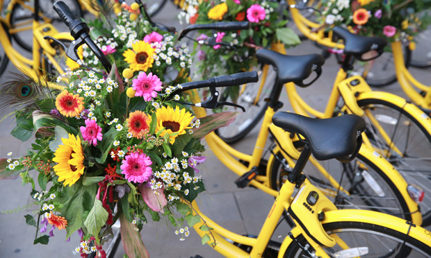 Flowered up: Ofo bikes will be on hand at Tour De Plants, for the wheel-less