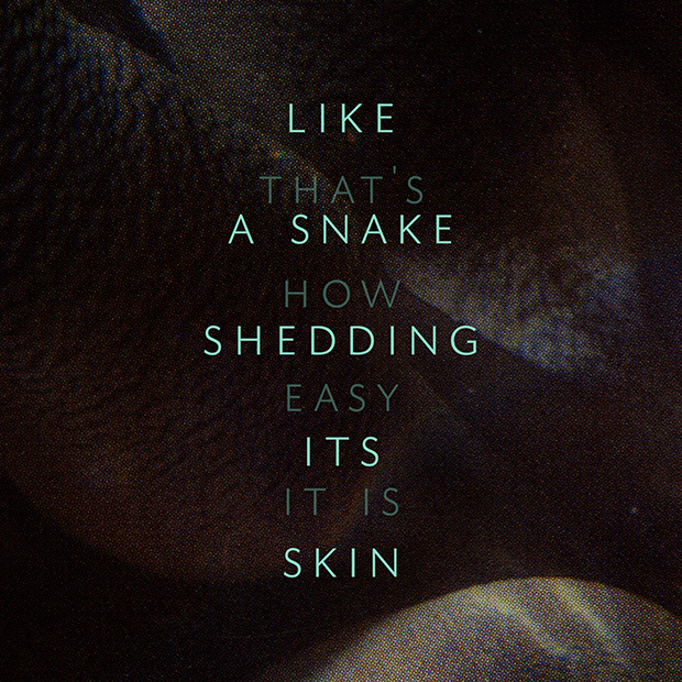 Georgie Grace's Shedding Still