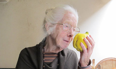 The mighty quince: Gillian Riley savours the perfume. Photographs: James Mosley
