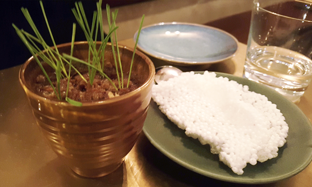 'A neat gimmick': the potted pig head