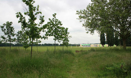 An artist's impression of the planned pavilion on Hackney Marshes. Photograph: Hackney Council