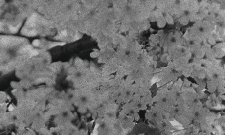 Detail from cover of HFF (Vol.1)