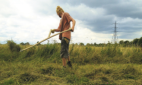 Urban pastoral: a volunteer learns the art of scything on Walthamstow Marshes. Photograph: Kathrin Böhm