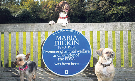 Unsung hero: plaque of animal ‘NHS’ founder Maria Dickin. Photograph: English Heritage, PDSA