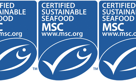 marine stewardship council 