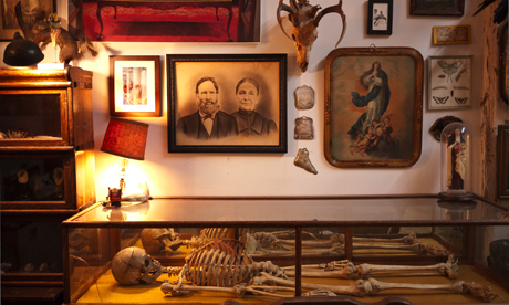 Morbid Anatomy Library, Brooklyn