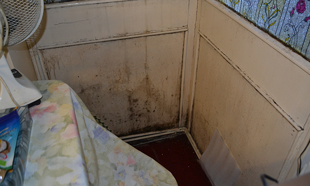 The mould problem is widespread throughout the property