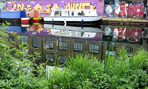 Thames21's latest reedbed design