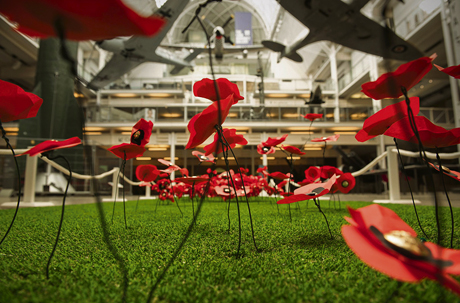 Poppies and planes Imperial War Museum