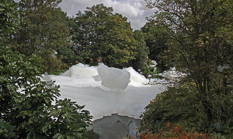 Photograph: Kriss Lee