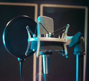 Root 73. Photograph: Asher Korner