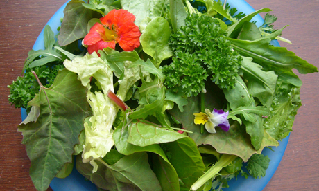 Salad wins award Growing Communities