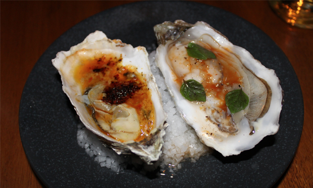 Shep's two varieties of oysters