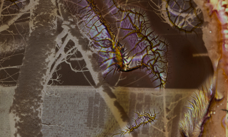 Detail from Stephen Gill's Best Before End limited edition print. 