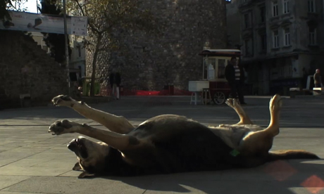 A still from Taskafa: Stories of the Street. Image: Andrea Luka Zimmerman